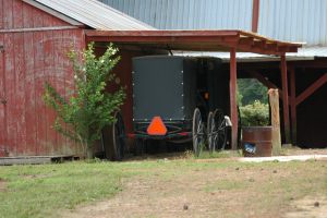 Amish